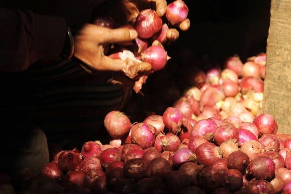 Cold Storage :  बनाएं प्याज भंडारण ढांचा, सरकार देगी अनुदान
