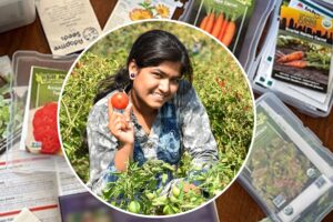 Seed Storage : बीज का भंडारण में इन बातों का रखें ध्यान