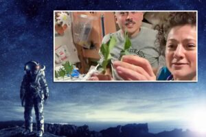 Space Farming: अंतरिक्ष में अनिल मेनन ने उगाई हरी सब्जियां