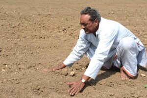 Healthy Soil