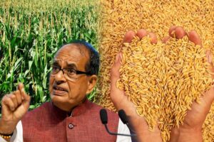 New Record in Agriculture : खेती ने रचा नया रिकॉर्ड, उत्पादन 5.3% बढ़ा