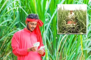 Farm Machinery Subsidy : कृषि यंत्रों पर 50 फीसदी तक अनुदान