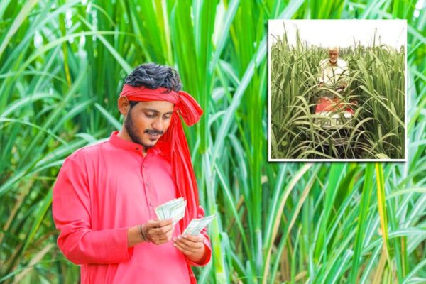 Farm Machinery Subsidy : कृषि यंत्रों पर 50 फीसदी तक अनुदान