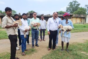 Sonadi Sheep Project : नस्ल सुधार पर जोर, किसानों को मिलेंगे उन्नत मेढ़े