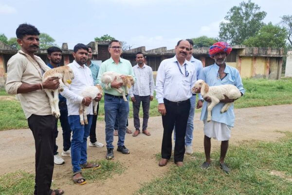 Sonadi Sheep Project : नस्ल सुधार पर जोर, किसानों को मिलेंगे उन्नत मेढ़े
