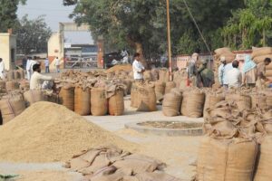 Market Price : तमिलनाडु में धान की रिकॉर्ड खरीद, मिलेगा बेहतर दाम