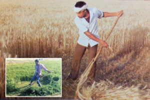 Farm Machinery : एक आदमी, एक यंत्र और एक एकड़ की कटाई