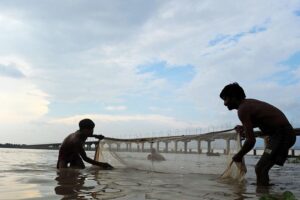 Dolphin Conservation : गंगा से गायब होती मछलियां