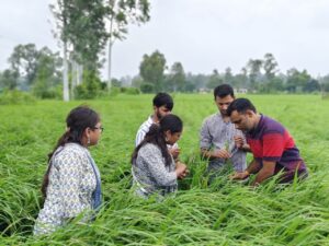 KVK Jobs : बीएचयू के कृषि विज्ञान केंद्र में 70 से अधिक पदों पर भर्ती