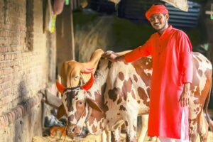 Livestock Insurance: अब पशु के मरने पर नहीं होगा नुकसान