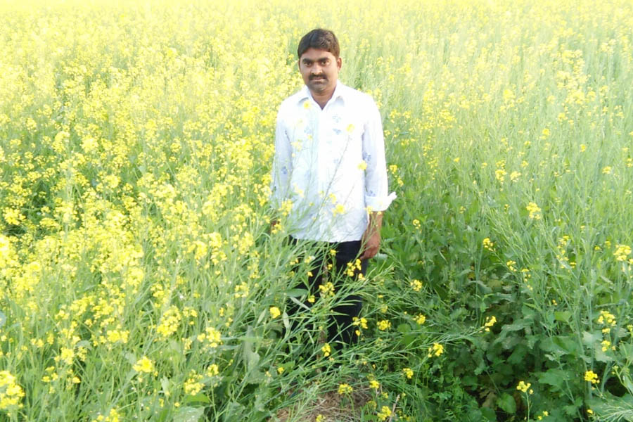 Rabi Crops 2026 : किसान कौन सी फसल लगाएं और कौन सा बीज चुनें?