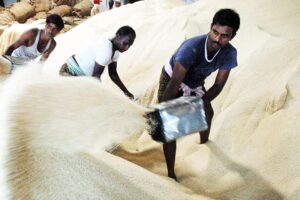 Rice Exporters : चीन ने किए 3 भारतीय एक्सपोर्टर्स के रजिस्ट्रेशन रद्द