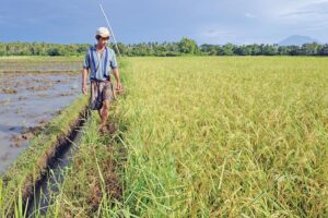 Agricultural Tasks : कृषि जगत से जुड़े सितंबर के खास काम