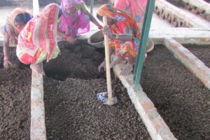 Vermi Compost Pit : किसानों के लिए जैकपॉट! पिट बनाने पर भारी सब्सिडी