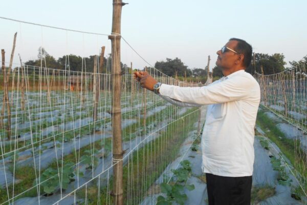 Integrated Farming