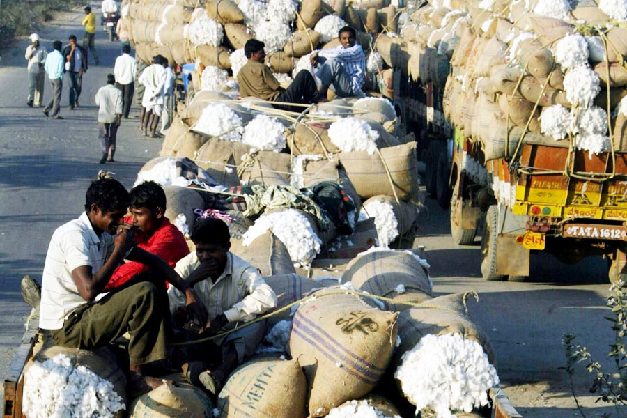 Cotton Import: कपास पर 11% इंपोर्ट ड्यूटी छूट बढ़ाने की तैयारी
