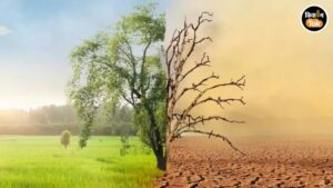 अल नीनो का अलर्ट: बदलते मौसम का असर खेती और पशुपालन पर