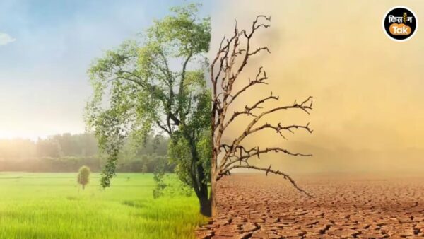 अल नीनो का अलर्ट: बदलते मौसम का असर खेती और पशुपालन पर