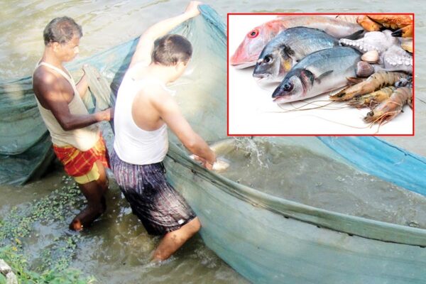 Fish Farming : मोटा मुनाफा देने वाली मछलियां