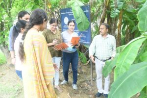 Natural Farming : प्राकृतिक खेती में भी मिलेगी एमएससी-पीएचडी की डिगरी