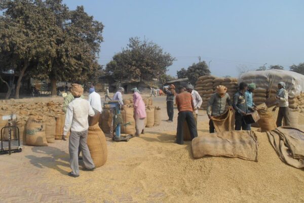 Paddy Procurement:धान की सरकारी खरीदी हुई तेज, करोड़ो का भुगतान