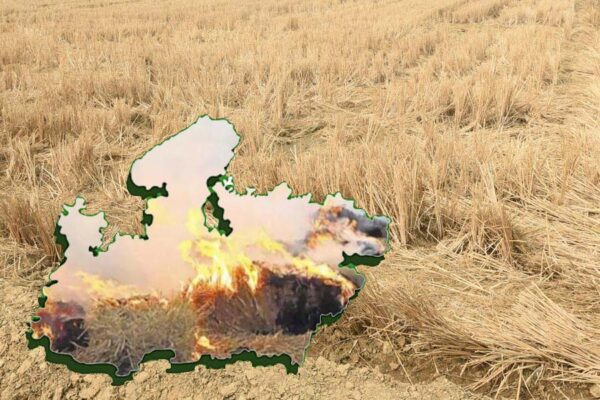 Stubble Burning : पराली की आग में अब मध्य प्रदेश , फ्रेम बदला तस्वीर वही