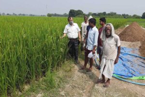 Rabi Crop : अलनीनो की मार से बचाएगा ‘खेत बचाओ अभियान’