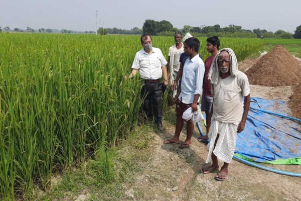 Rabi Crop : अलनीनो की मार से बचाएगा ‘खेत बचाओ अभियान’