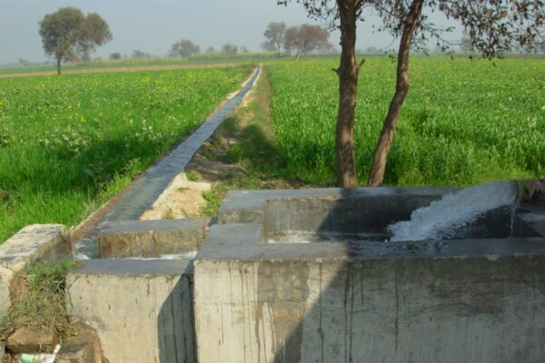 El Nino 2026 : रबी की बुवाई में पानी का रखें हिसाब