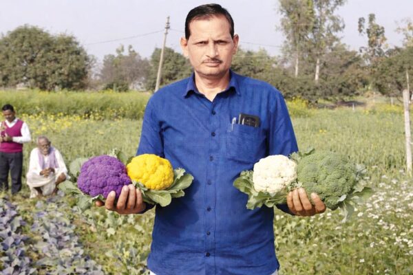 Safal Kisan : किसान राम पूरन चौधरी विदेशी सब्जियों से बदली जिंदगी