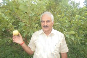 Success Story : रिटायर्ड कर्नल ने खेती में किया कमाल
