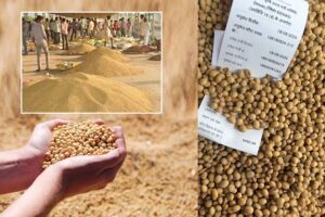 Schemes :  सोयाबीन भावांतर योजना में रजिस्ट्रेशन की तारीख बढ़ी
