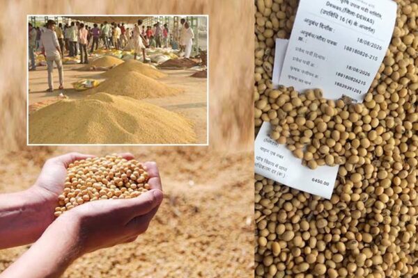 Schemes :  सोयाबीन भावांतर योजना में रजिस्ट्रेशन की तारीख बढ़ी
