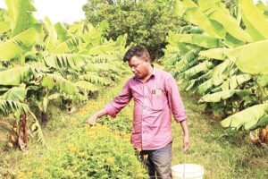 Yuva Kisan शोभाराम आधी लागत में कर रहा 3 गुना कमाई