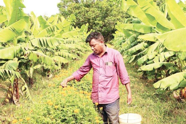 Yuva Kisan शोभाराम आधी लागत में कर रहा 3 गुना कमाई