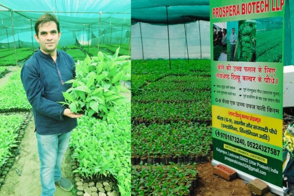 Tissue Culture Lab: लाखों का कारोबार,12 महिलाओं को मिला रोजगार