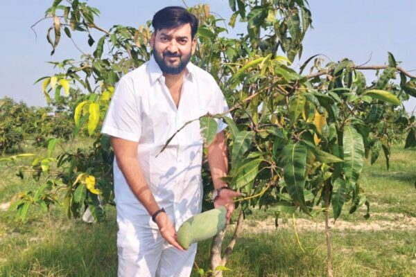 Successful Farmer अवनीश कुमार ने बनाई देशीविदेशी आमों की बगिया